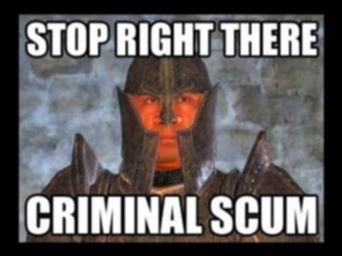  STOP RIGHT THERE CRIMINAL SCUM