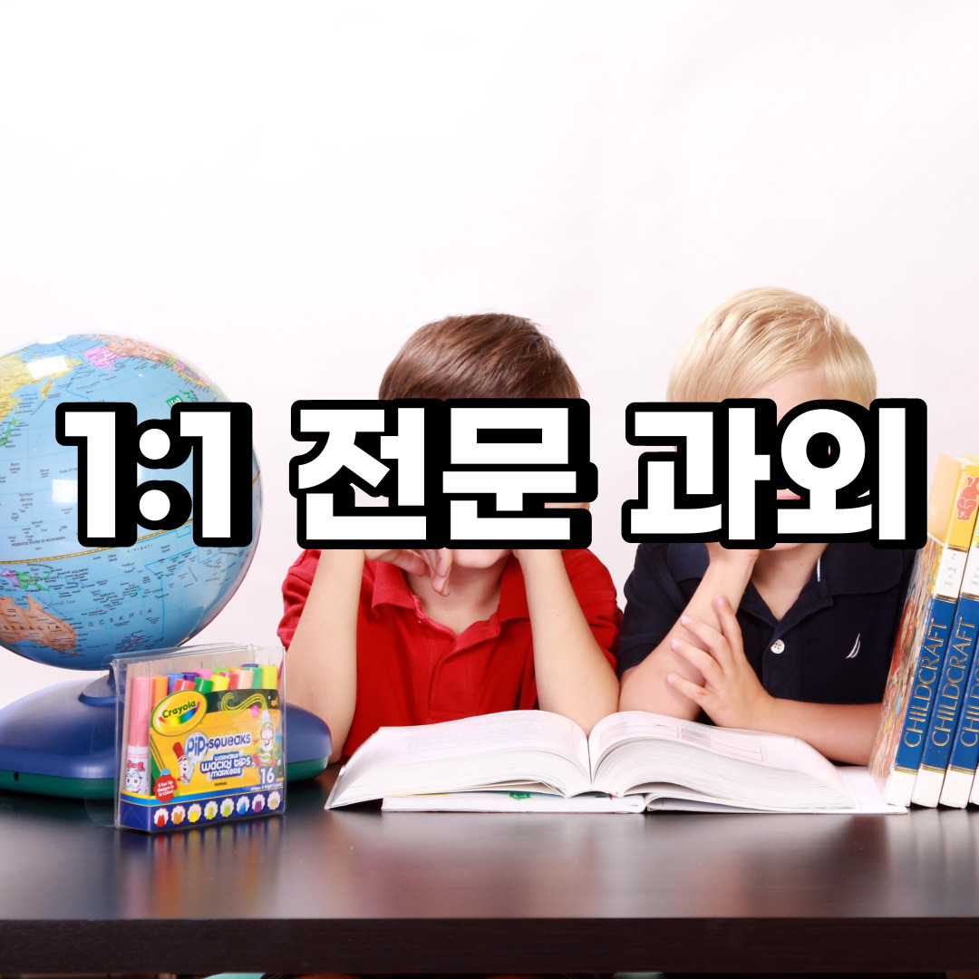  강북구 초등 영어과외 미아동 번동 중등 고등 국어 수학과외