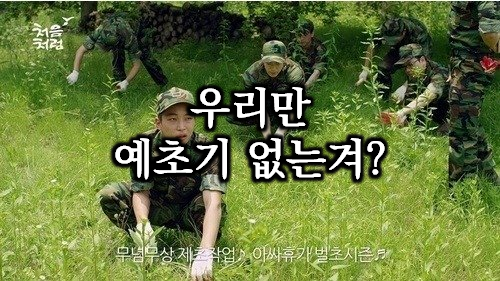  잡초제거 순삭 해버리는 든든한 예초기 추천리스트