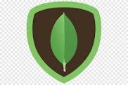  [ MongoDB ] MongoDB 접속 ( Use. Python )