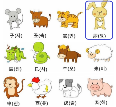  [사주 명리학] 2023년 토끼띠 운세