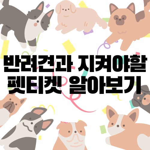 반려견과 지켜야 할 펫티켓 알아보기