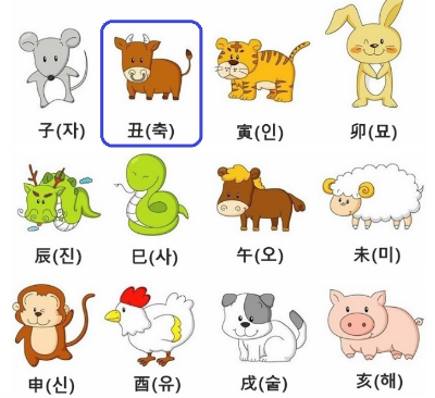  [사주 명리학] 2023년 소띠 운세
