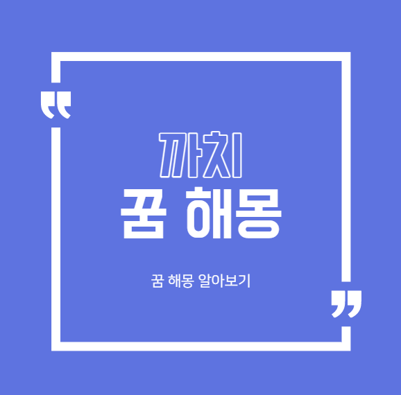  까치 꿈 해몽 대표적인 19가지 모음