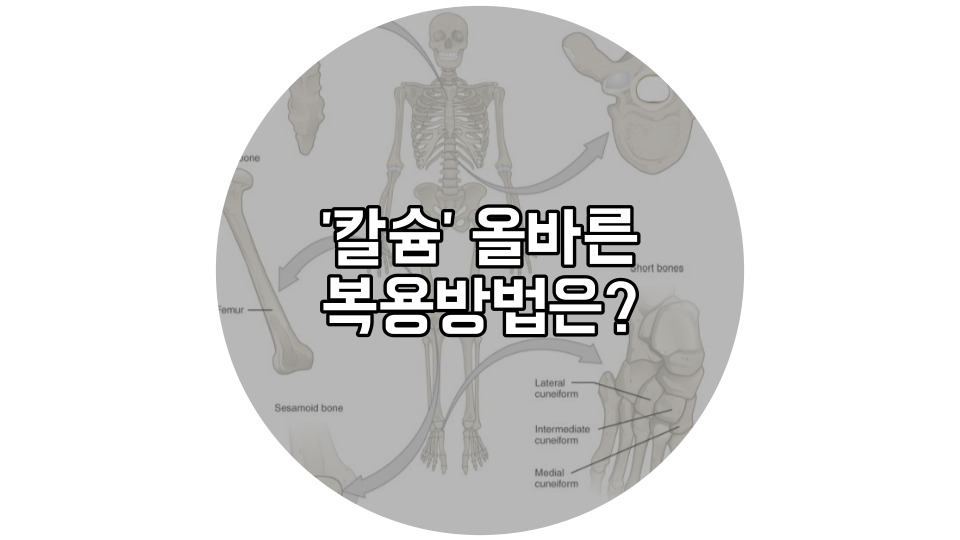  '건강보조제' 칼슘 복용금지 대상은?
