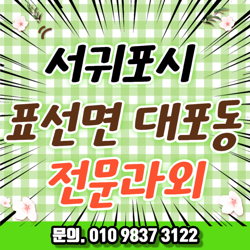  서귀포시 직장인 영어과외 대포동 취업준비 중국어 오픽 기초일본어 비즈니스회화