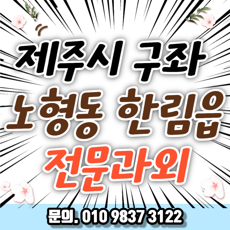  제주시 직장인 영어과외 세화해수욕장 취업준비 중국어 오픽 기초일본어 비즈니스회화