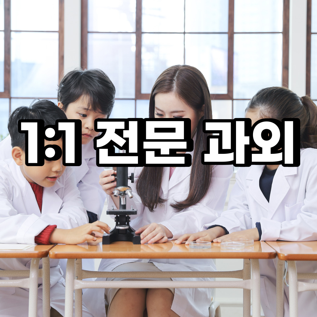 동안구 초등 영어과외 부림동 평안동 중등 고등 국어 수학과외 검정고시