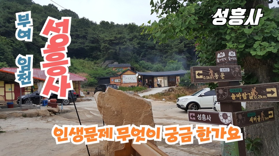  #보령점집 #세종시점집까지 강타하다! 부여 성흥사 와우 끝내주세요