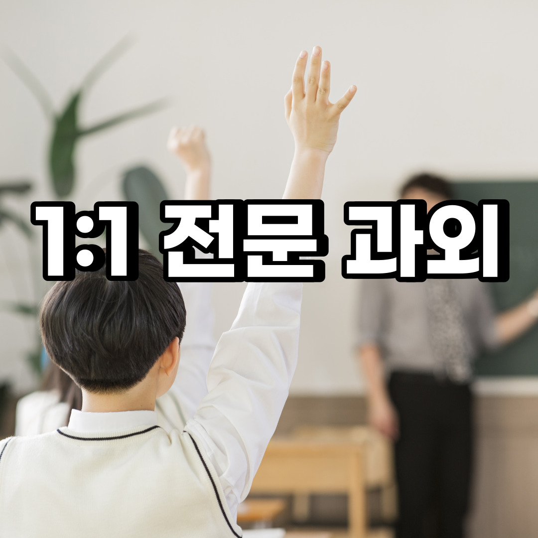  양주 초등 영어과외 회천동 중등 고등 국어 수학과외 검정고시