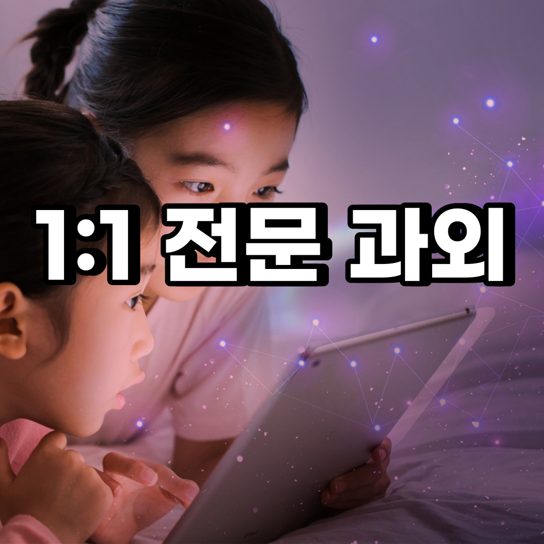  덕양구 초등 영어과외 선유동 고양동 중등 고등 국어 수학과외 검정고시