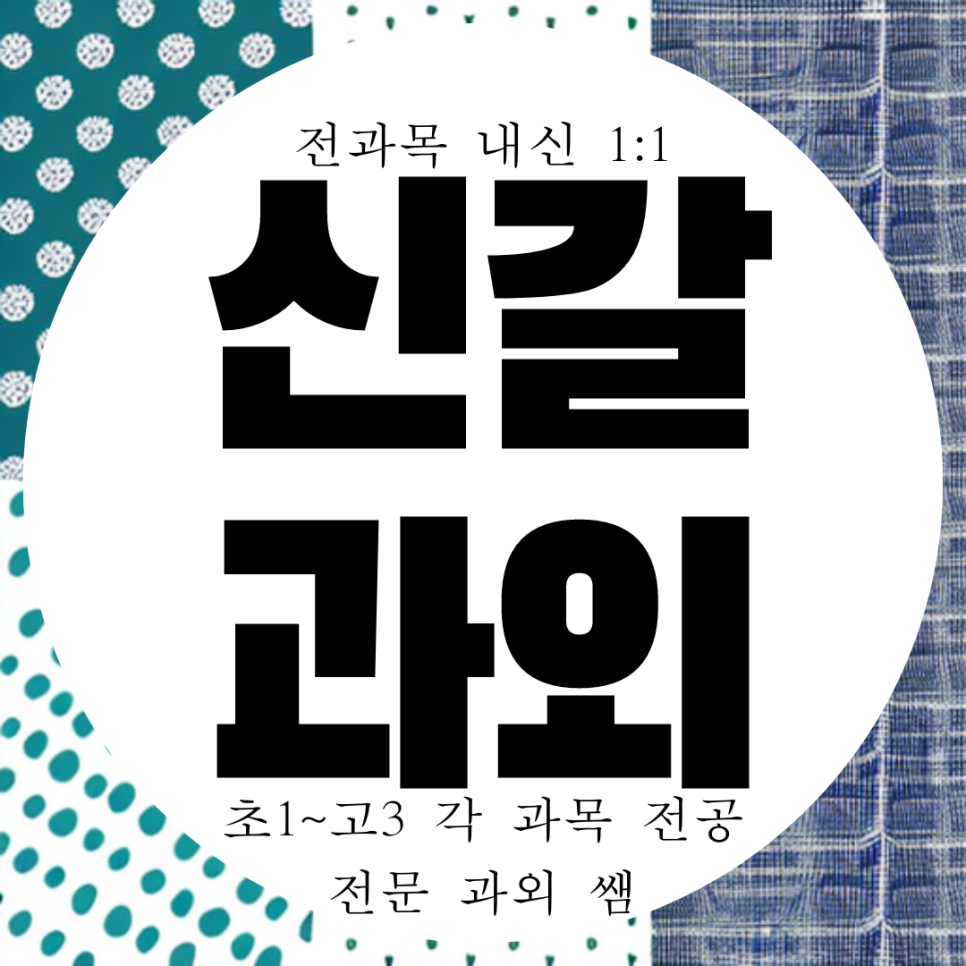  신갈 수학과외 기흥 고등 신갈중 영어과외 방문 국어 과학 내신 전문