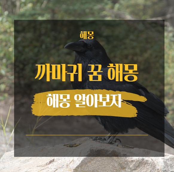  까마귀 꿈 해몽 18가지