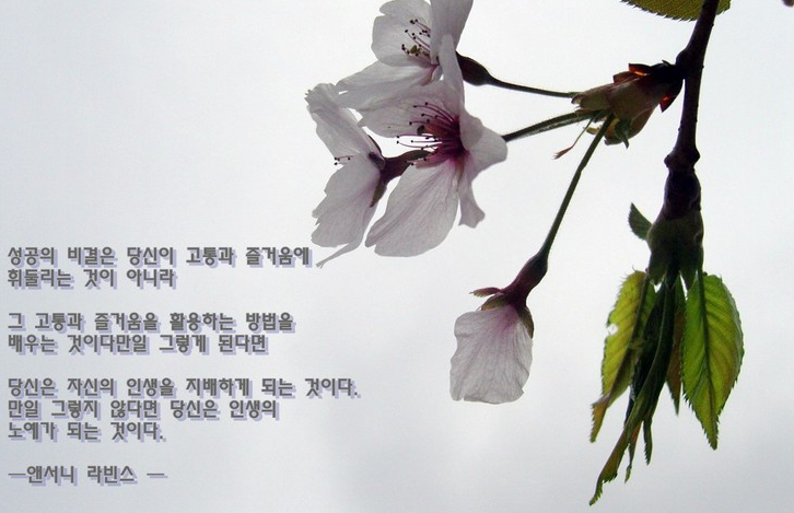  292번째 선물 - 인생을 바꾸는 두가지 지렛대