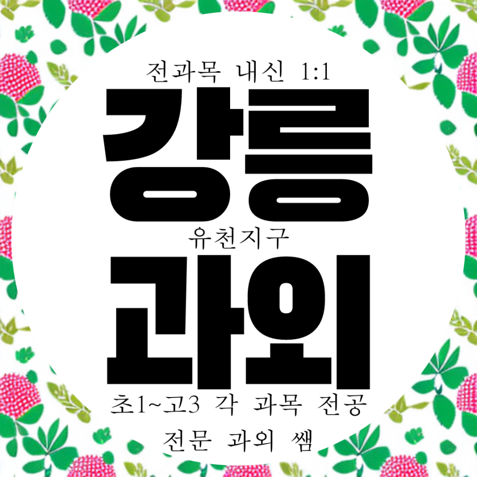  강릉 옥천동 수학과외 국어 교동 영어과외 과학 명륜고 고등 내신 전문