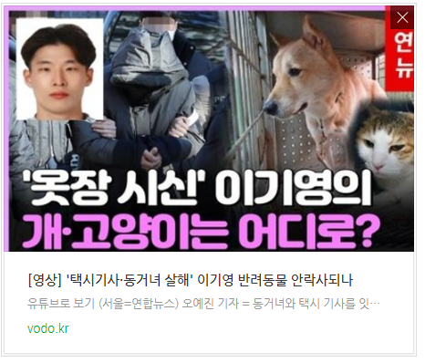 [저녁뉴스] [영상] '택시기사·동거녀 살해' 이기영 반려동물 안락사되나