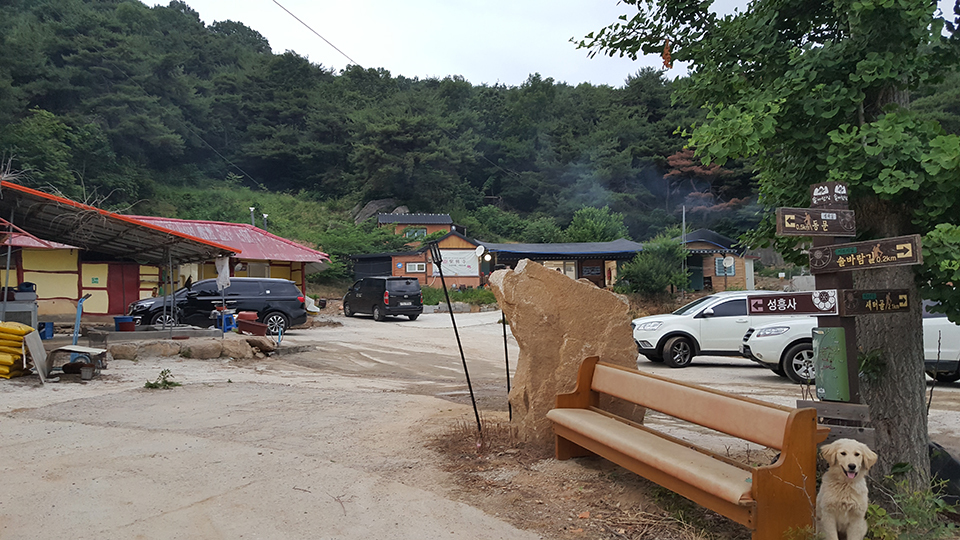  #부여점집 #보령점집 이렇게 용한곳이! 여기 성흥사