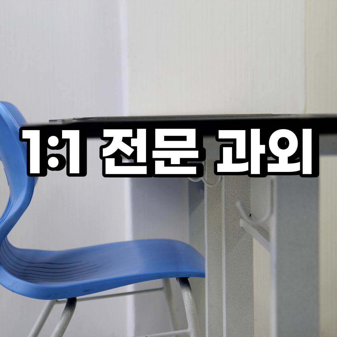 평택 초등 영어과외 이충동 지산동 중등 고등 국어 수학과외 검정고시