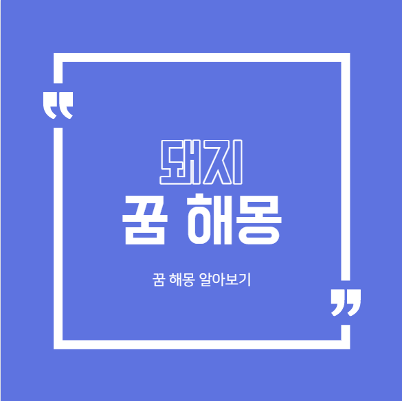  돼지꿈해몽 31가지 정리