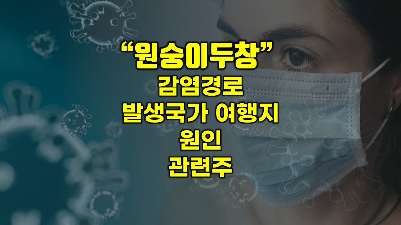  원숭이두창 감염경로... 바이러스 발생국가 여행지 조심... 원숭이두창 관련주 백신은?
