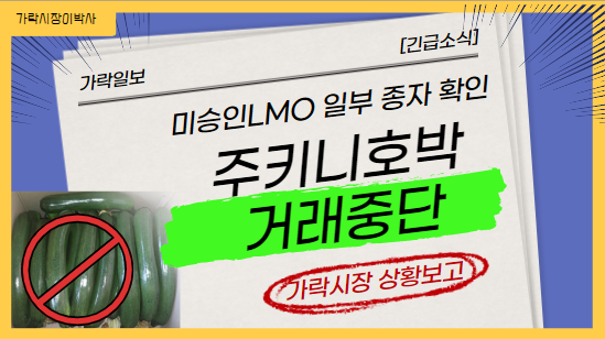 주키니호박 거래중단 이후 가락시장은 어떨까요?