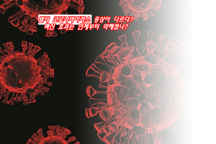  델타 코로나바이러스 증상이 다르다?백신 효과는 언제부터 약해졌나?<변이주와 백신 Q&A 1편>