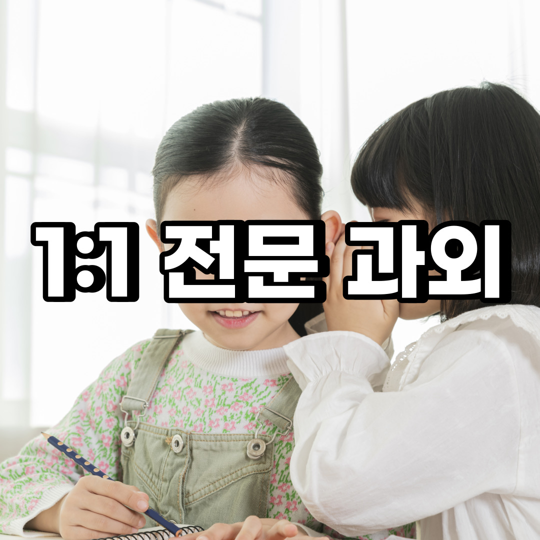 관악구 초등 영어과외 남현동 보라매동 중등 고등 국어 수학과외