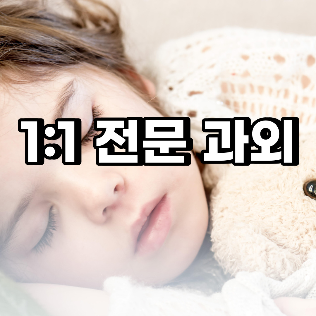  안성 초등 영어과외 대덕면 양성면 중등 고등 국어 수학과외 검정고시
