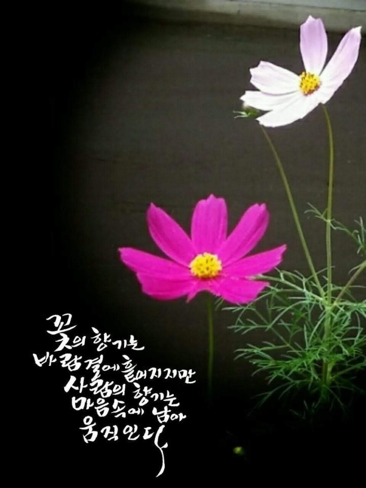  오늘의 좋은글 146번째
