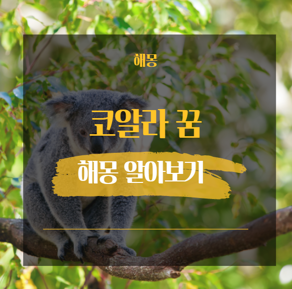  코알라 꿈 해몽 해석 모음 18가지