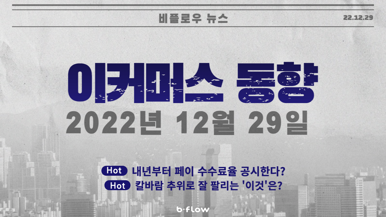 [데일리 이커머스 뉴스] 22.12.29 이커머스 동향 한 눈에 보기!