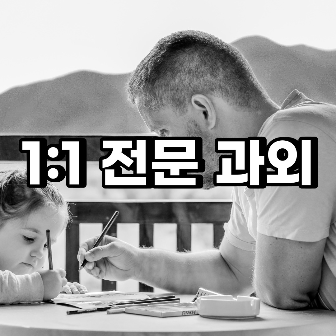  종로구 초등 영어과외 익선동 경운동 중학생 중등 고등 국어 수학과외