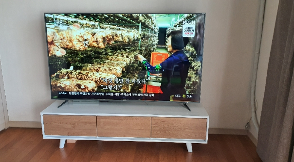  가성비 좋은 50만원대 65인치 4K UHD TV 구매 후기