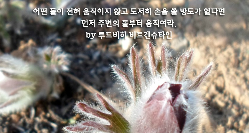  313번째 선물 - 가장 쉬운 일부터 시작하라.