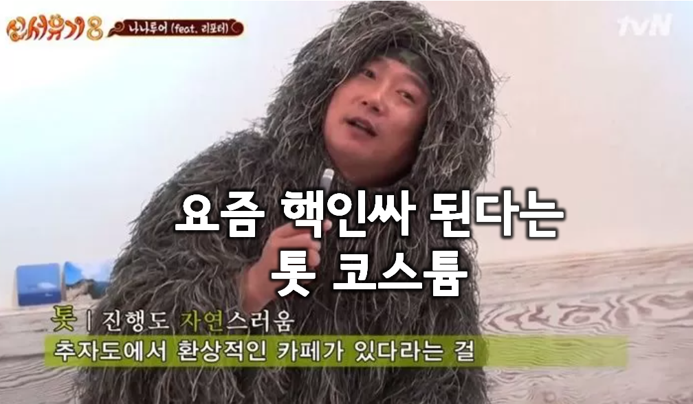  요즘 핵인싸 코스튬. 길리수트 20가지
