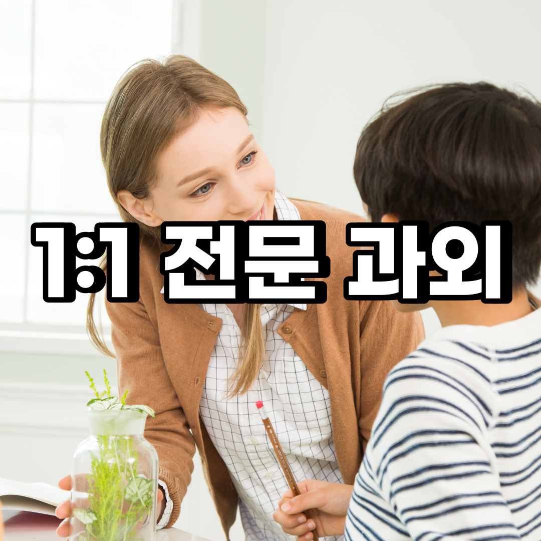  포항 초등 영어과외 경주 김천 중학생 중등 고등 국어 수학과외