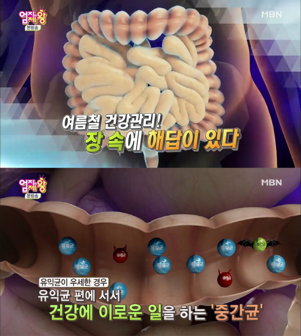  청정 불가리아에서 온 특별한 유산균, 매일먹어야 하는 이유