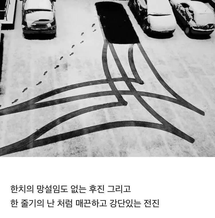  운전의 달인