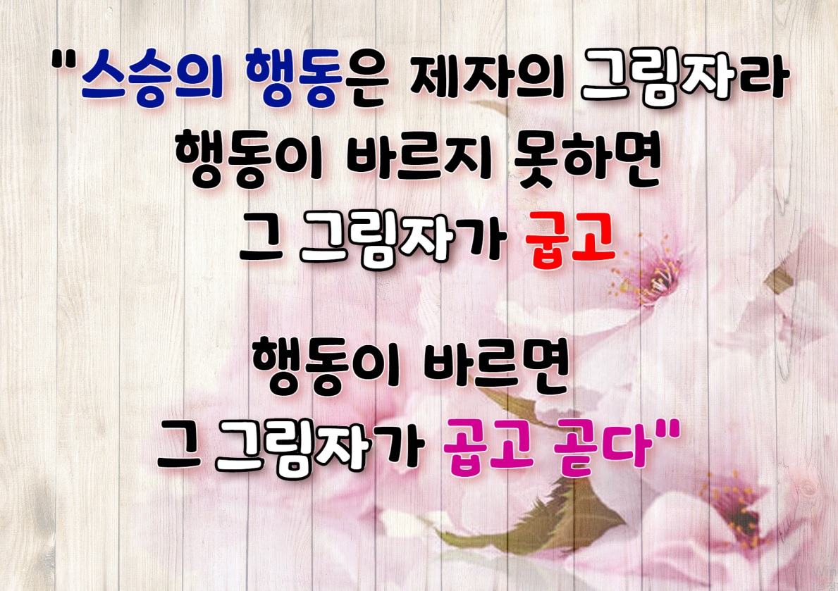  수련일지 시작~! (12.8)