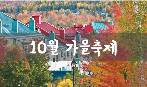  19년 10월 가을축제 여긴 꼭 가보자(가을추억만들기)