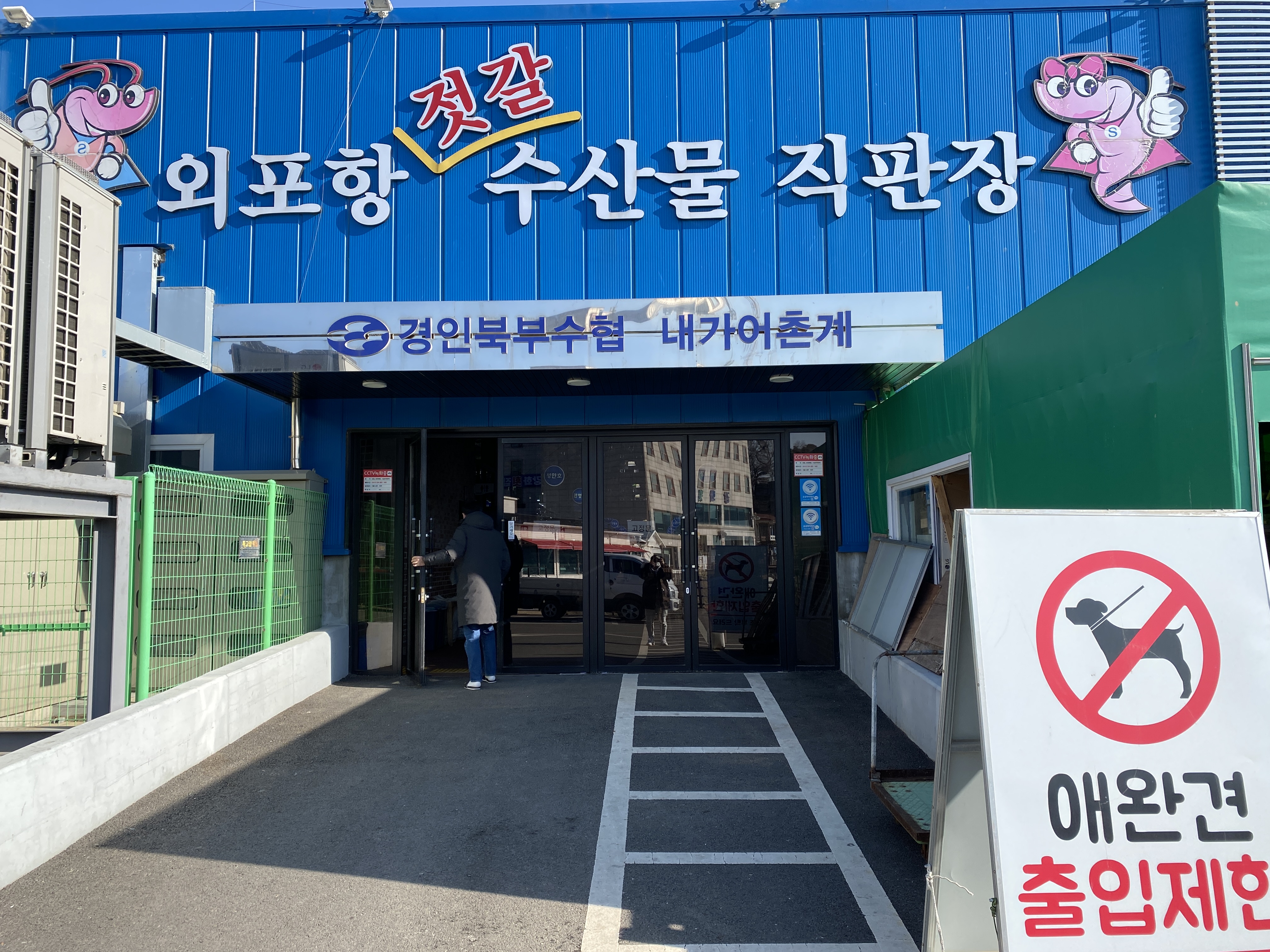  강화도 외포항 젓갈 수산물 직판장 후기(수산시장)