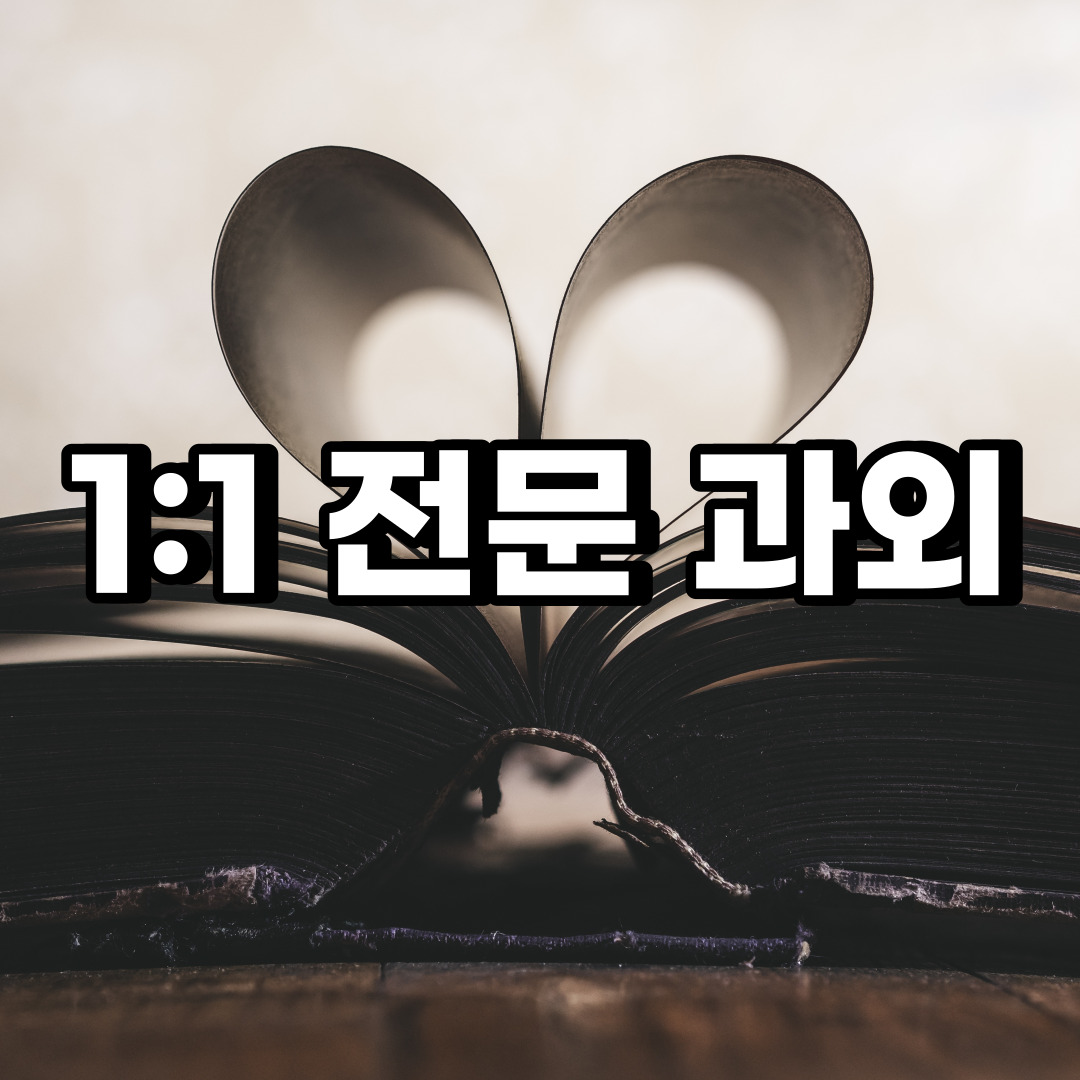  영월 초등 영어과외 평창 정선 중학생 중등 고등 국어 수학과외