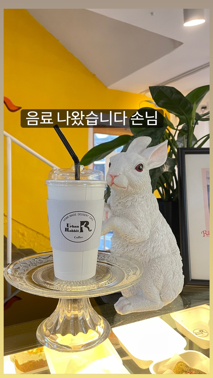 강남역 카페 “어반레빗” 귀여운 토끼와 디저트 행렬(스콘감동)