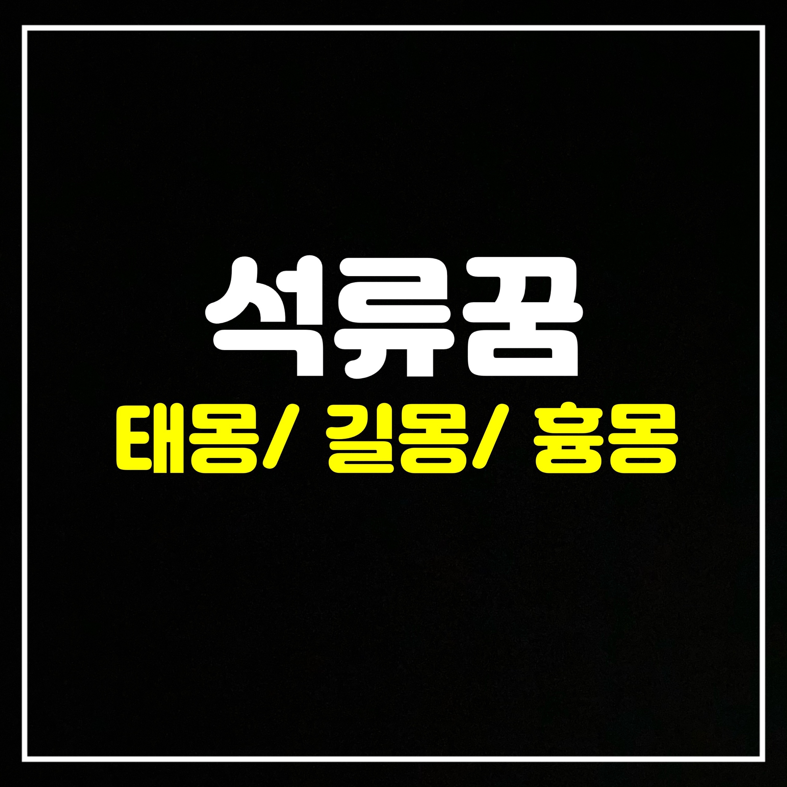  [과일꿈] 석류꿈은 어떤 의미일까? 태몽/길몽/흉몽 총정리