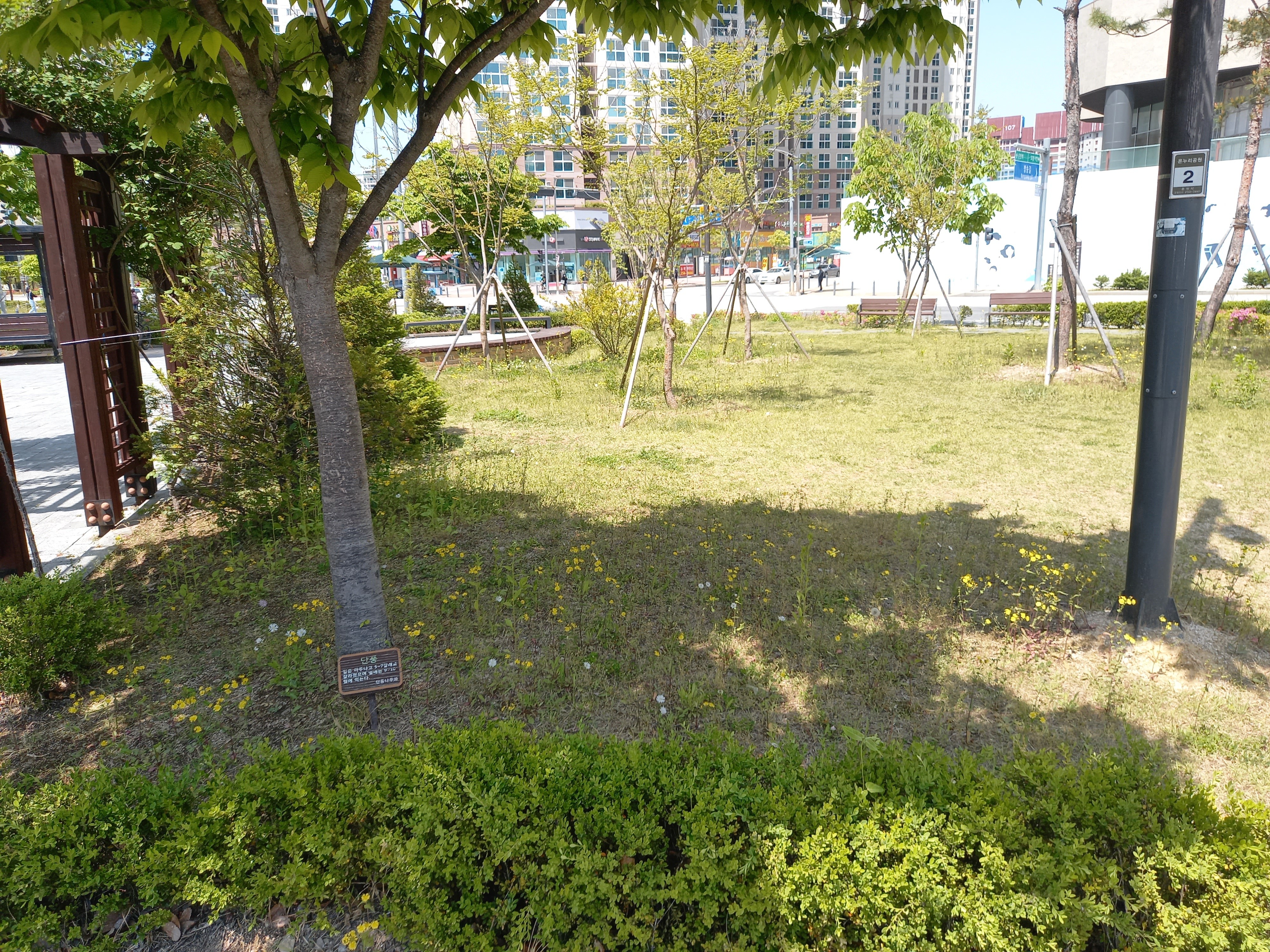  지난주 월요일에 찍었던 춘천시 온누리공원 사진을 올려봅니다.