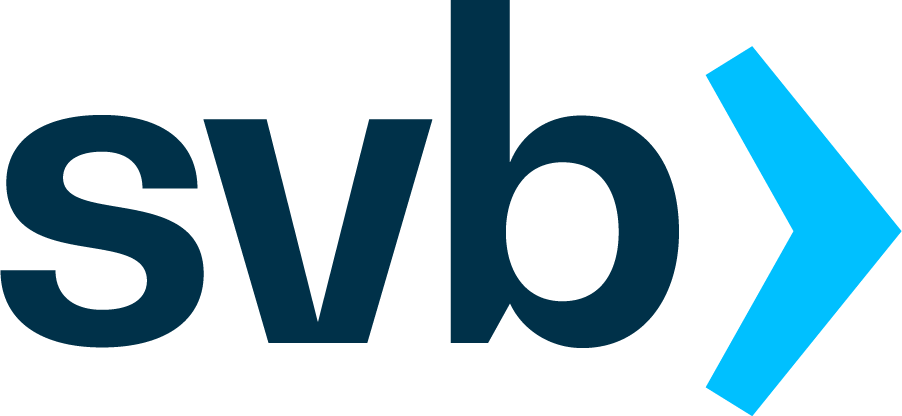 Top U.S. Experts Explain SVB Bankruptcy
