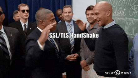  SSL, TLS, SSL Certification(SSL 인증서), Cipher suite, HTTPS, SSL/TLS HandShake 이게 다 뭐람?