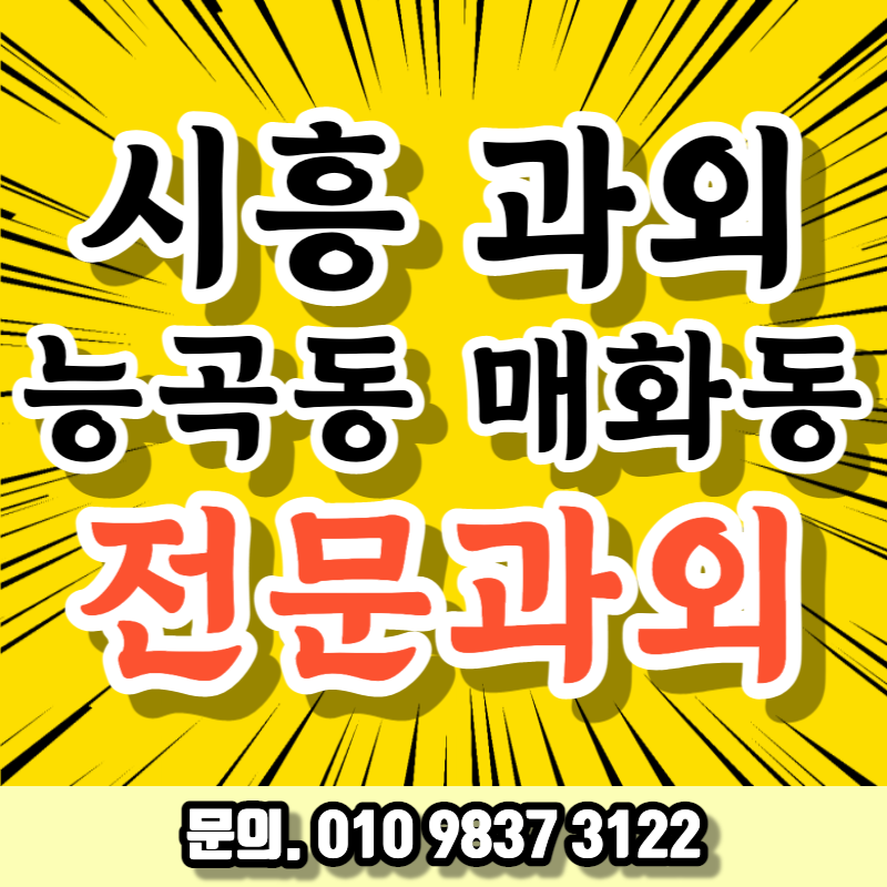  능곡동 영어 과외 시흥시 승지초등학교 1학년 수학 모의고사 대비 신천역 사탐 고등 내신과외