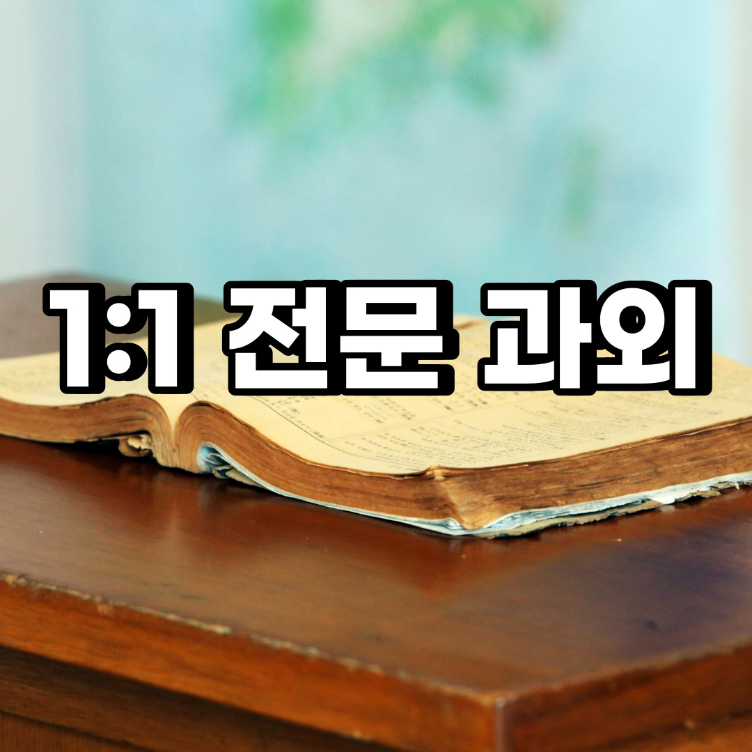  강동구 초등 영어과외 강일동 중등 고등 국어 수학과외 검정고시