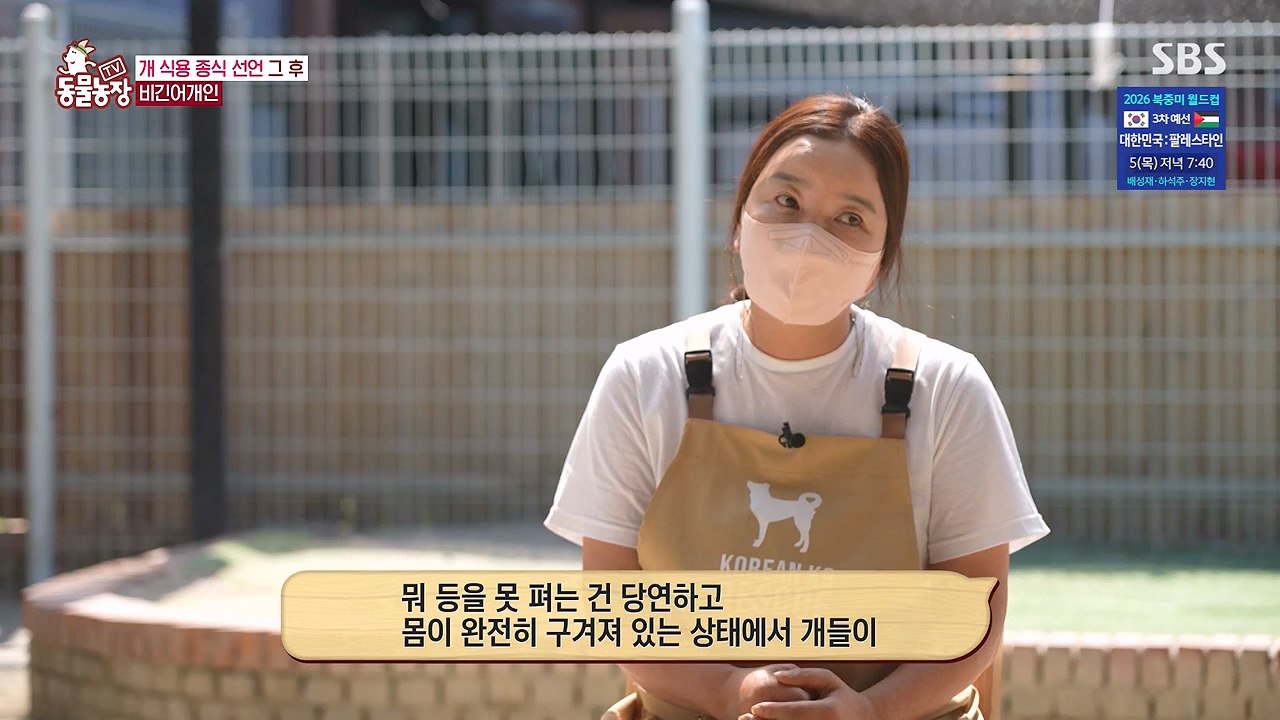 TV 동물농장.E1187.240902p-NEXT.mp4_20240901_155507.296.jpg